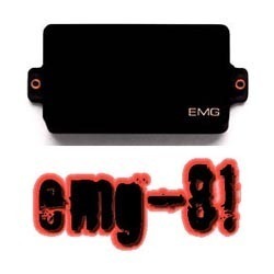EMG 81 Black 액티브픽업