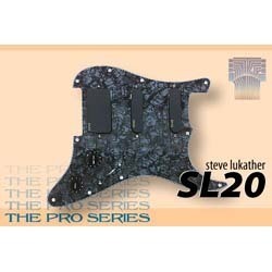 EMG The Pro Series SL20 픽업
